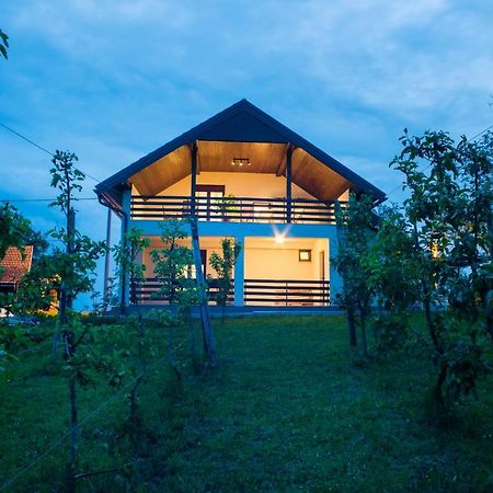 Holiday Home Dandelion With Hot Tub & Sauna Cetingrad Exterior photo