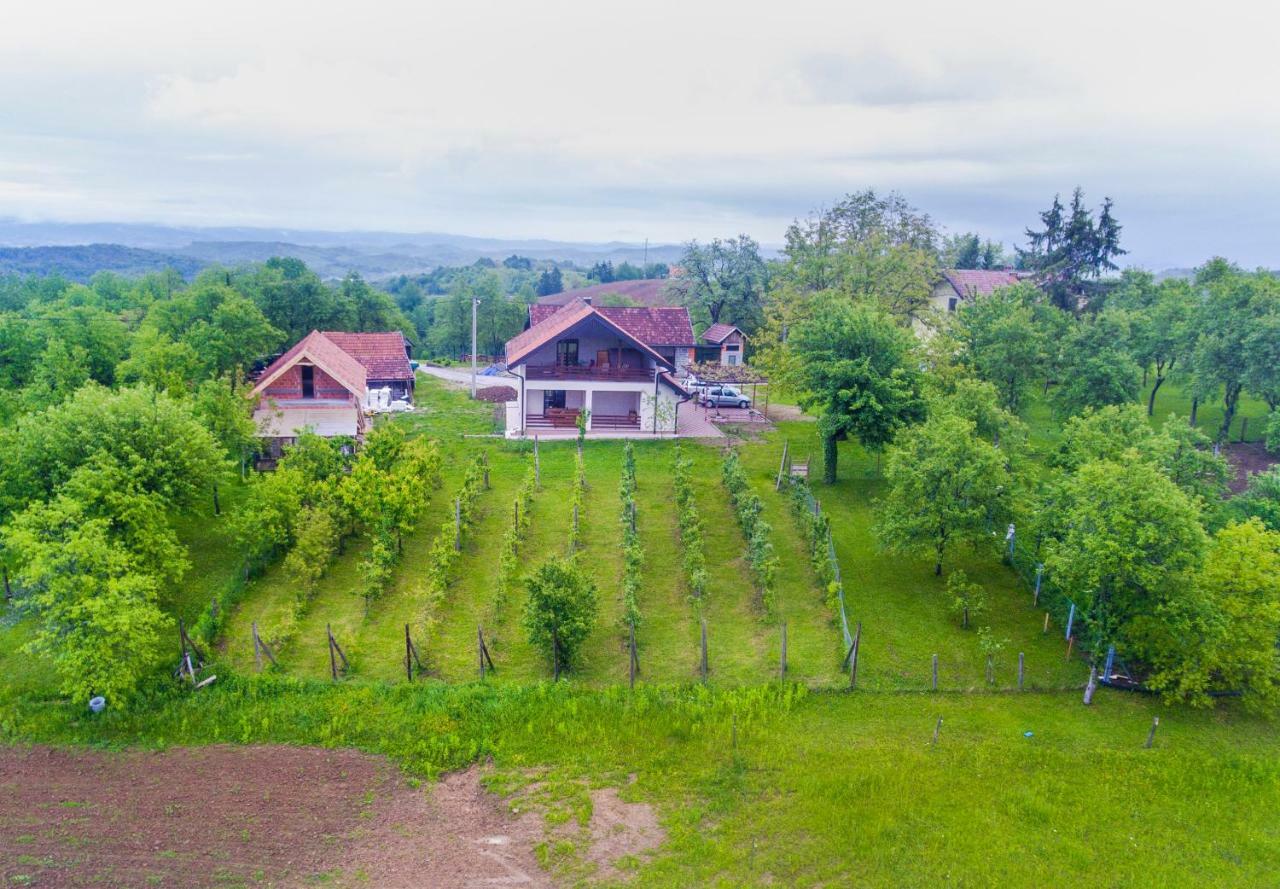 Holiday Home Dandelion With Hot Tub & Sauna Cetingrad Exterior photo