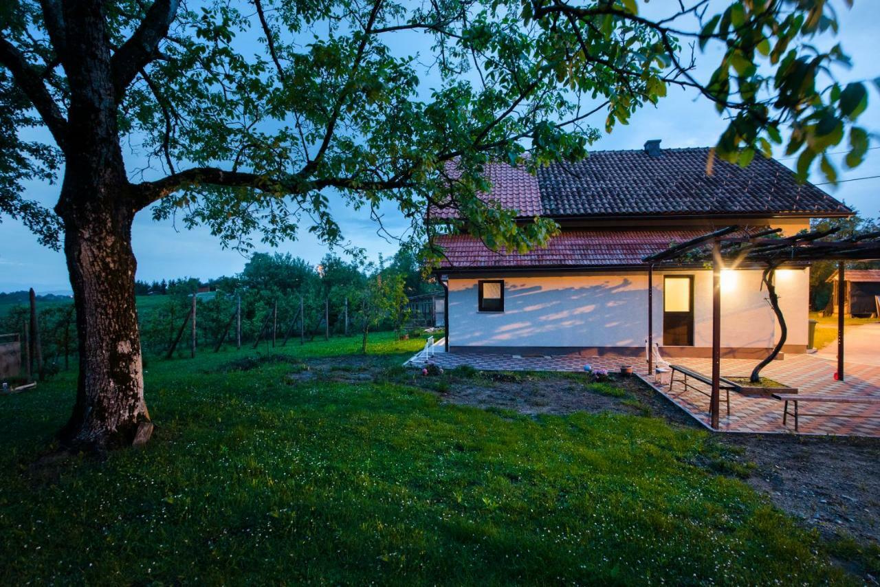 Holiday Home Dandelion With Hot Tub & Sauna Cetingrad Exterior photo